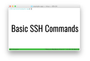 Basic Ssh Commands List Of Most Used Putty Commands In Linux