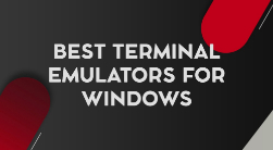 best terminal emulator for windows